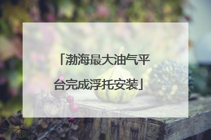 渤海最大油气平台完成浮托安装